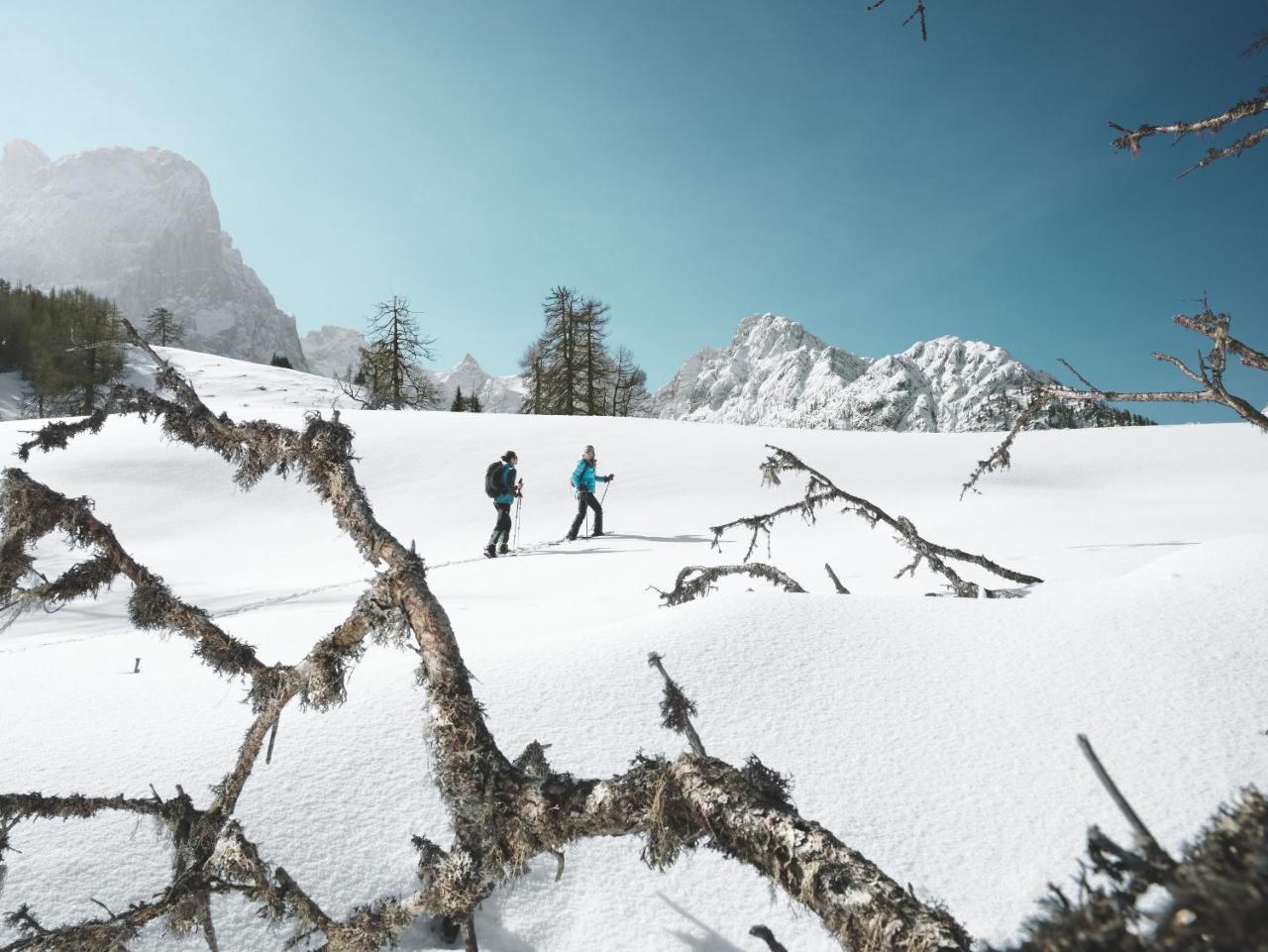 Hotel Alpengasthof Pichler Sankt Veit in Defereggen