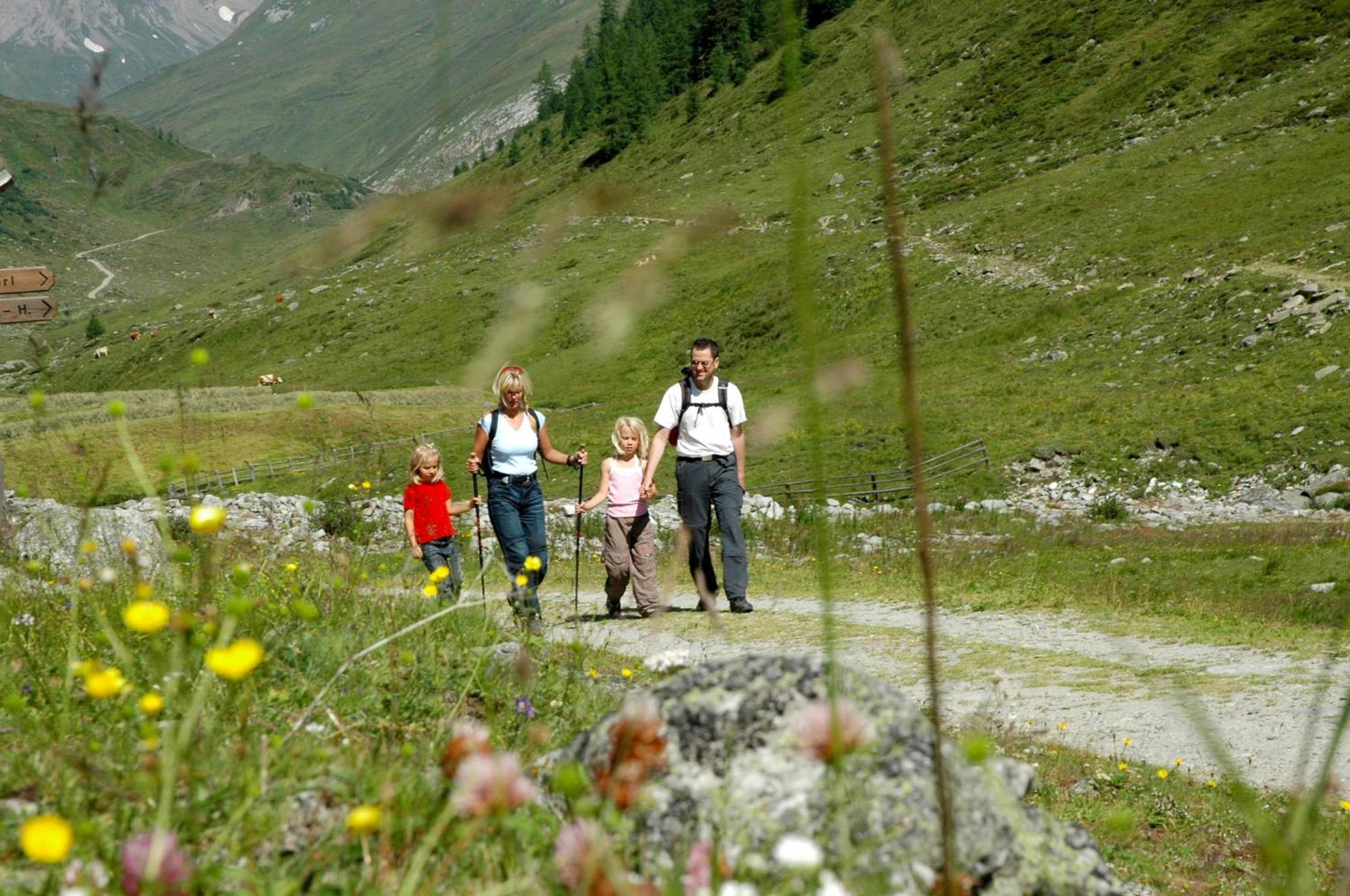 Alpengasthof Pichler Hotel 3*